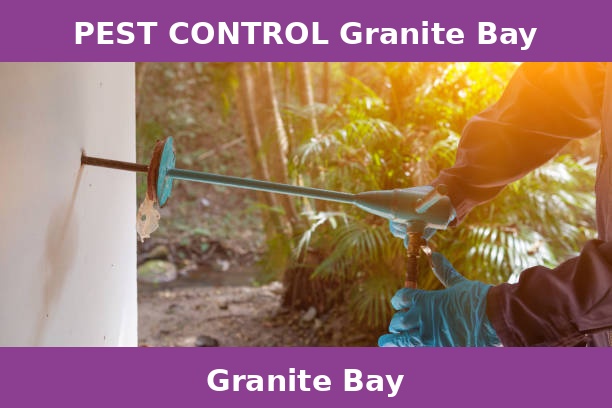PEST CONTROL Granite Bay
